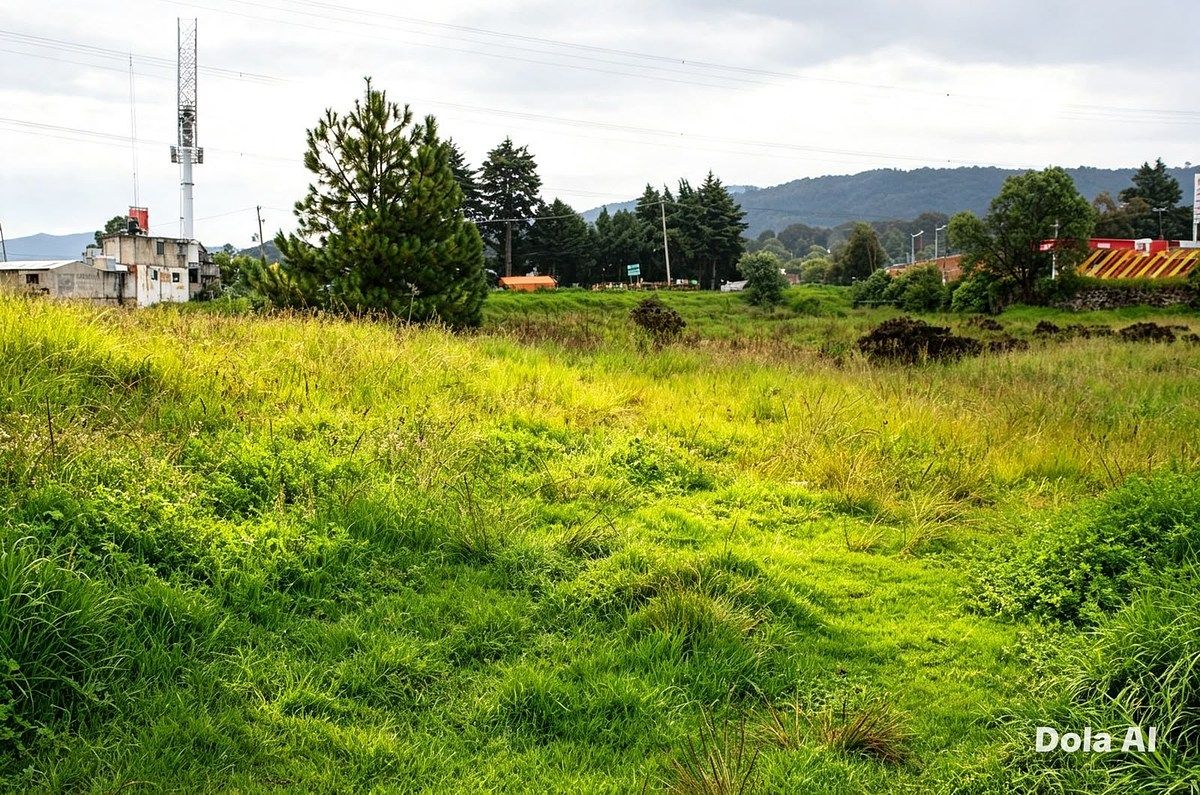 TERRENO EN VENTA EN SAN MIGUEL AMEYALCO, OCOYOACAC, ESTADO DE MÉXICO - foto 2