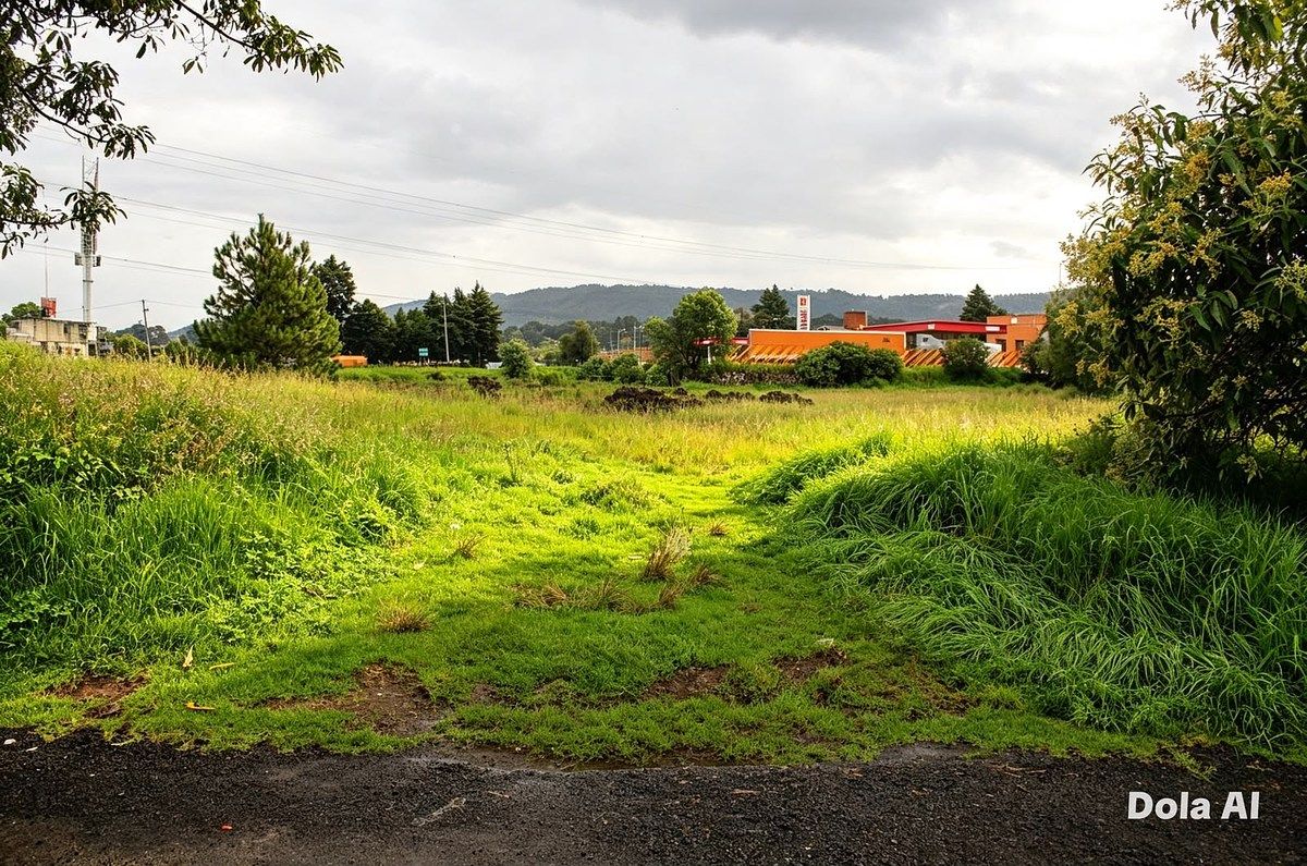 TERRENO EN VENTA EN SAN MIGUEL AMEYALCO, OCOYOACAC, ESTADO DE MÉXICO - foto 4