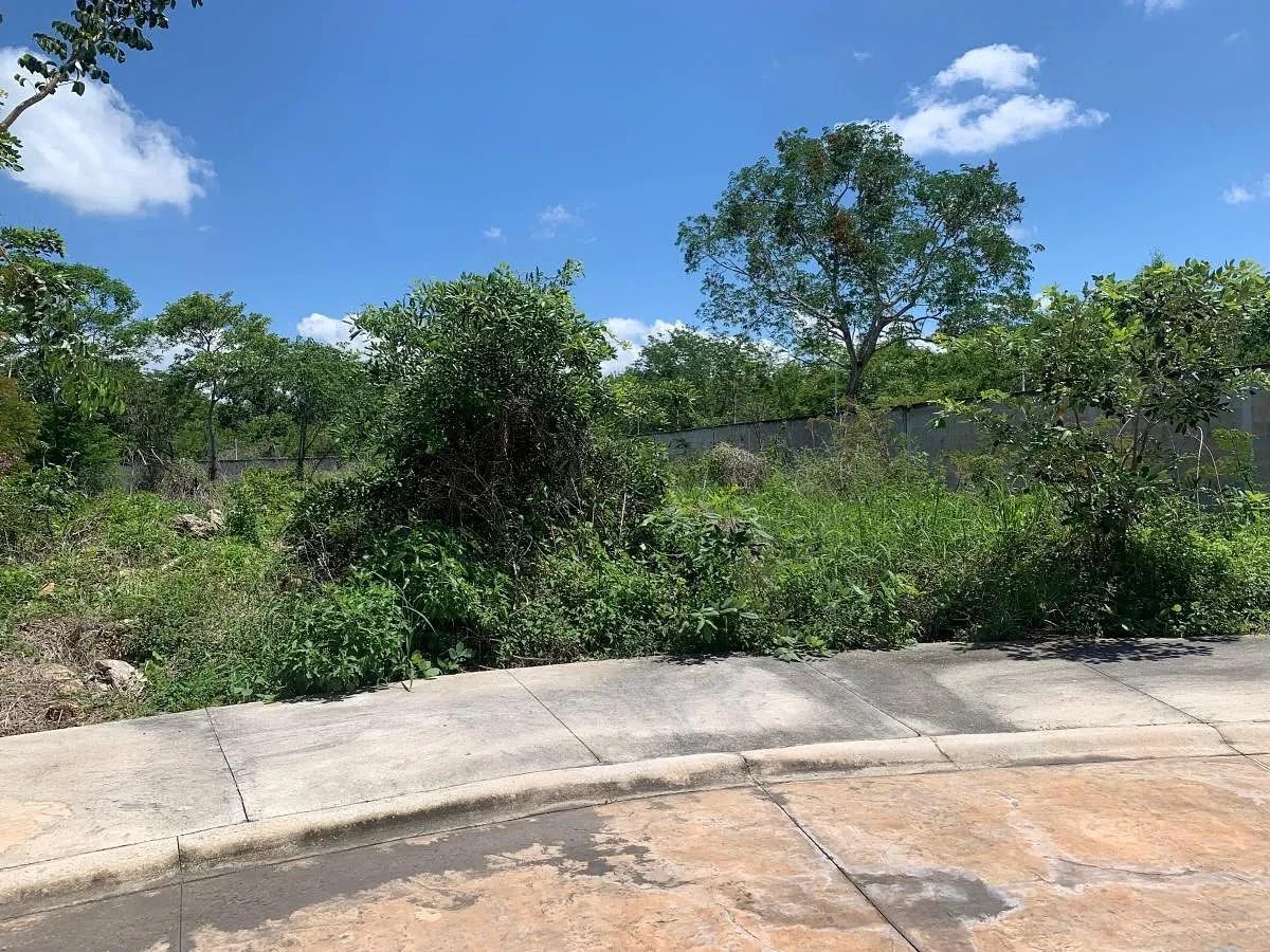 Lote em Zendera, Conkal, foto 4 de 32