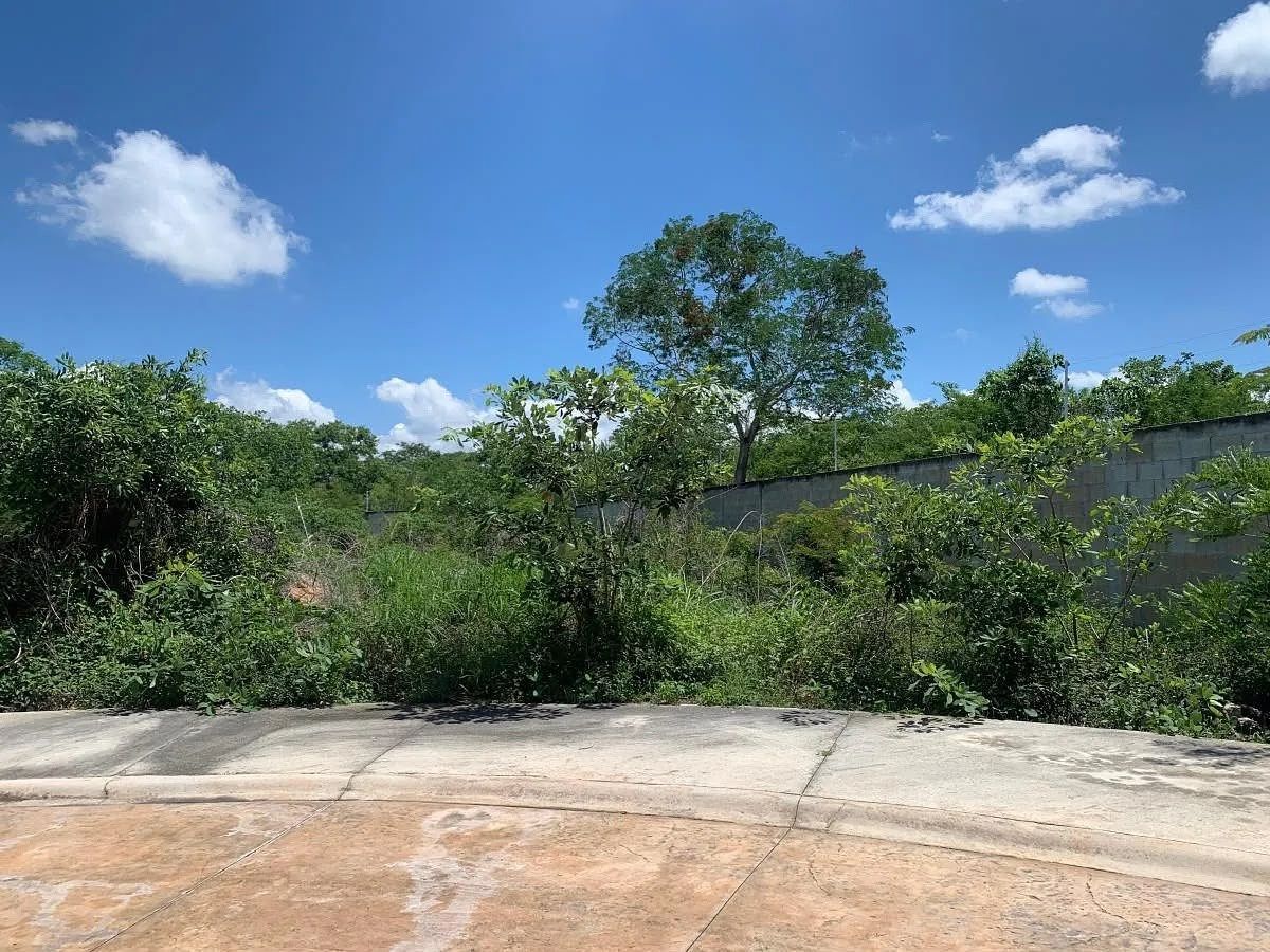 Lote em Zendera, Conkal, foto 5 de 32