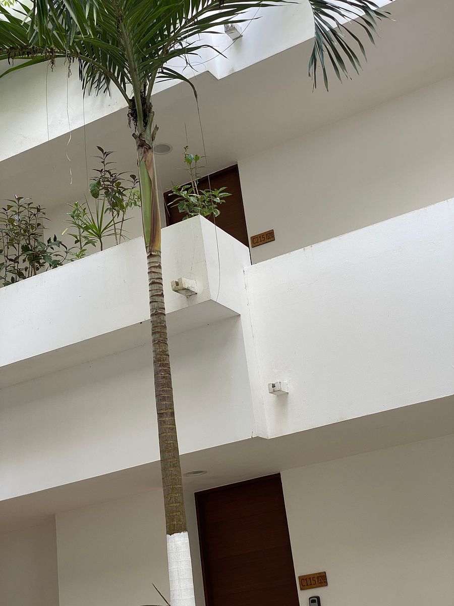 Apartment in Akumal, Tulum, photo 14 of 42