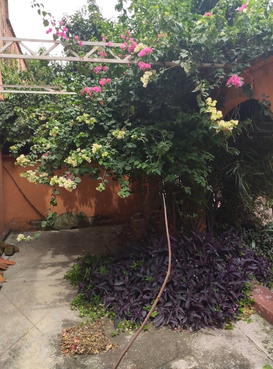 Casa en Del Recreo, Azcapotzalco, foto 9 de 48