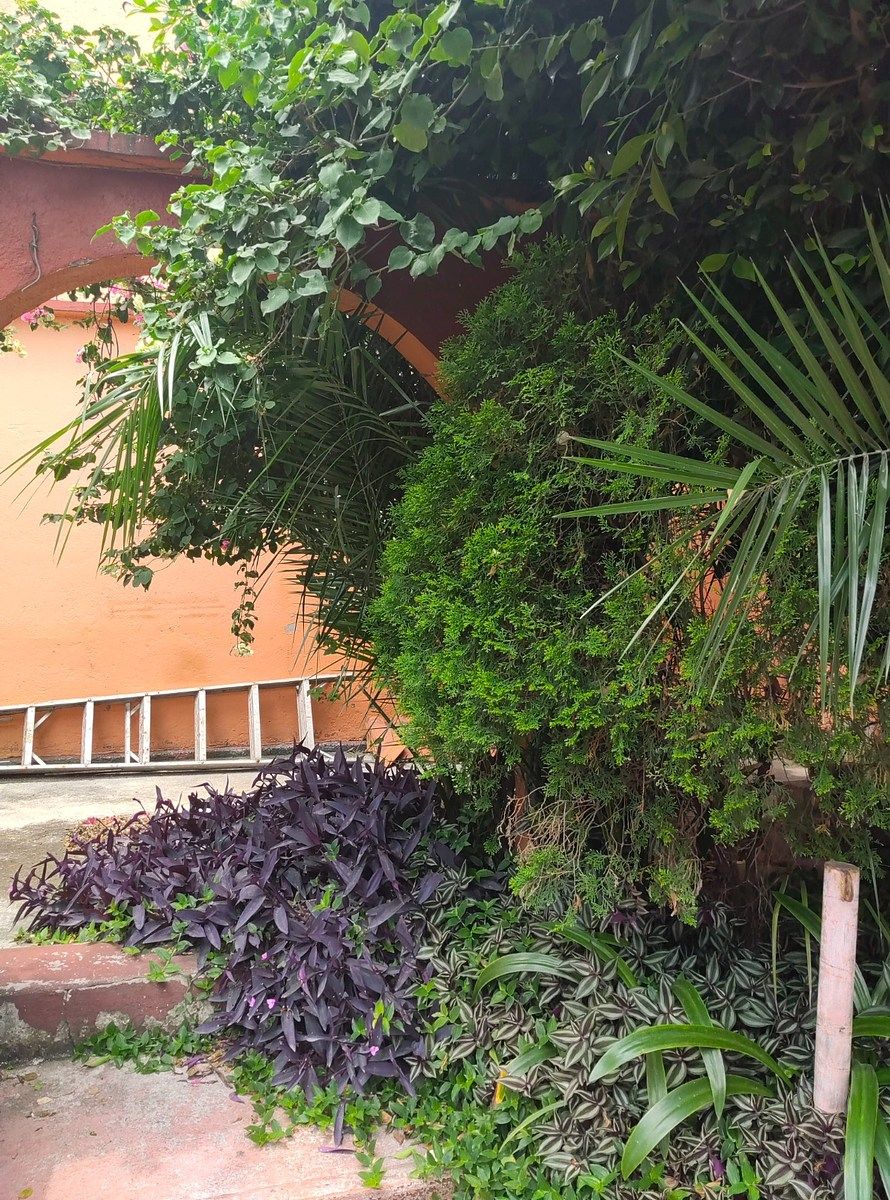 Casa en Del Recreo, Azcapotzalco, foto 13 de 48