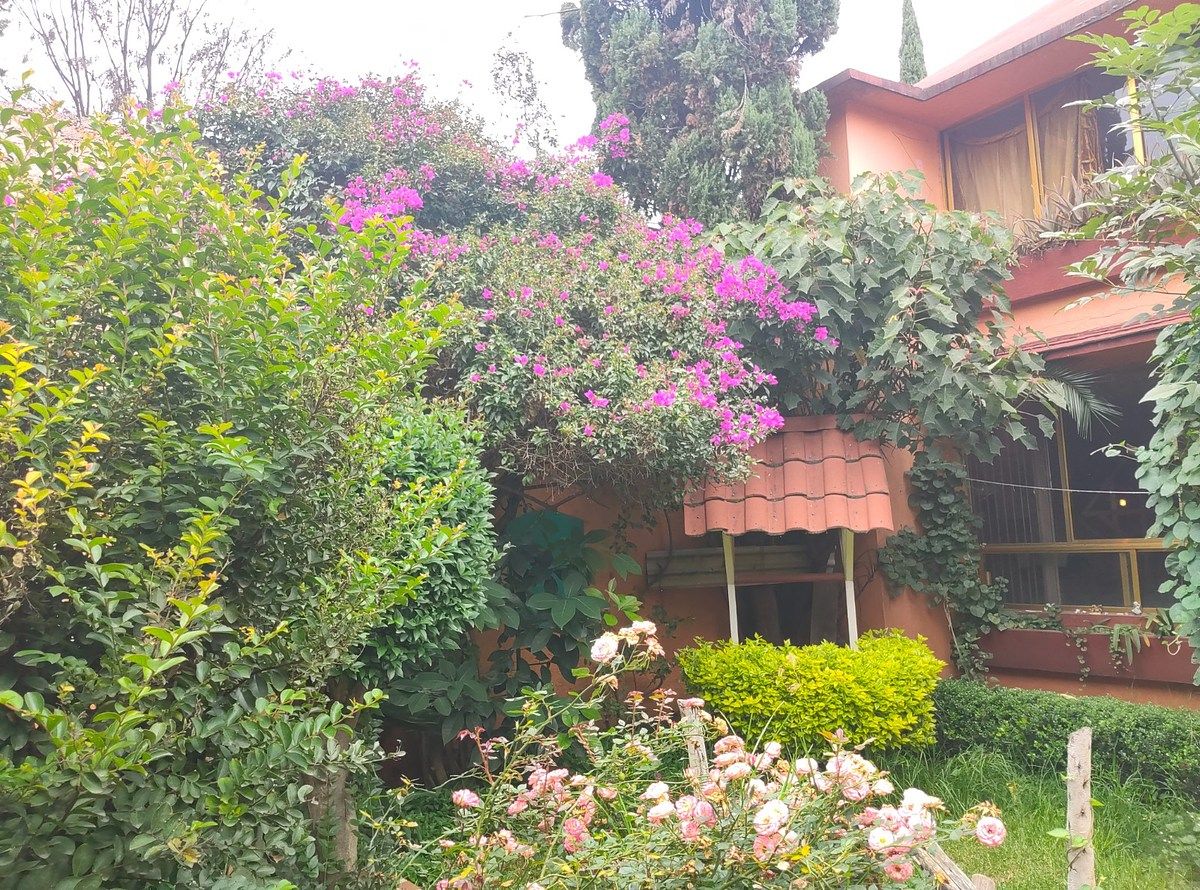 Casa en Del Recreo, Azcapotzalco, foto 26 de 48
