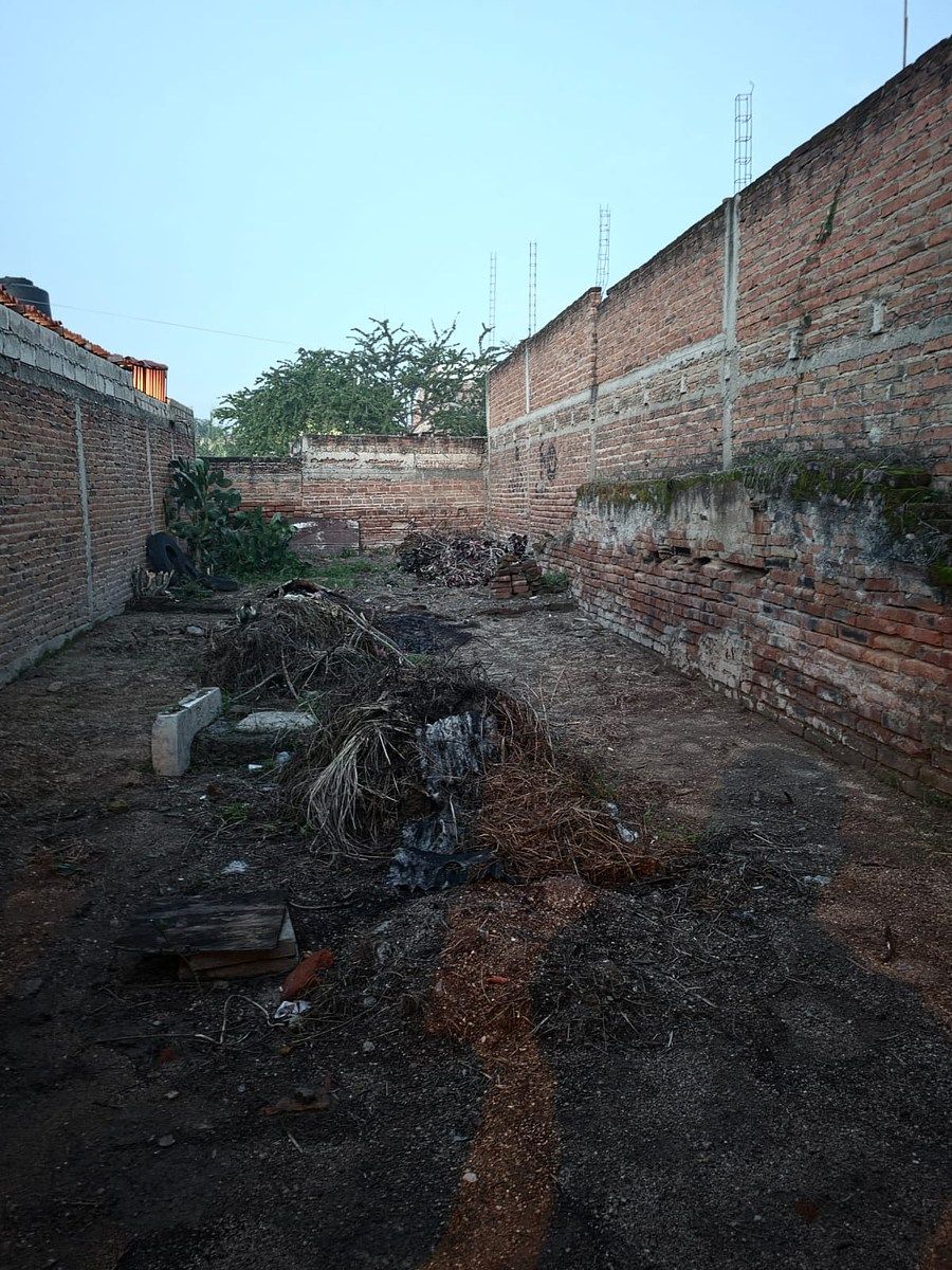 PATIO, foto 13 de 13