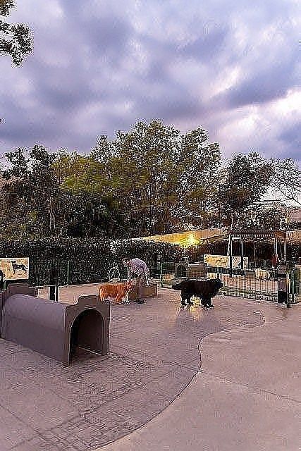 Departamento en Fuentes del Pedregal, Tlalpan, foto 14 de 23