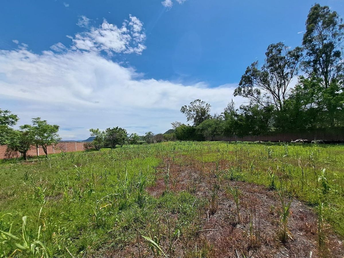 Rancho à Venda, Cuautla, 66.604 m2, foto 1 de 11