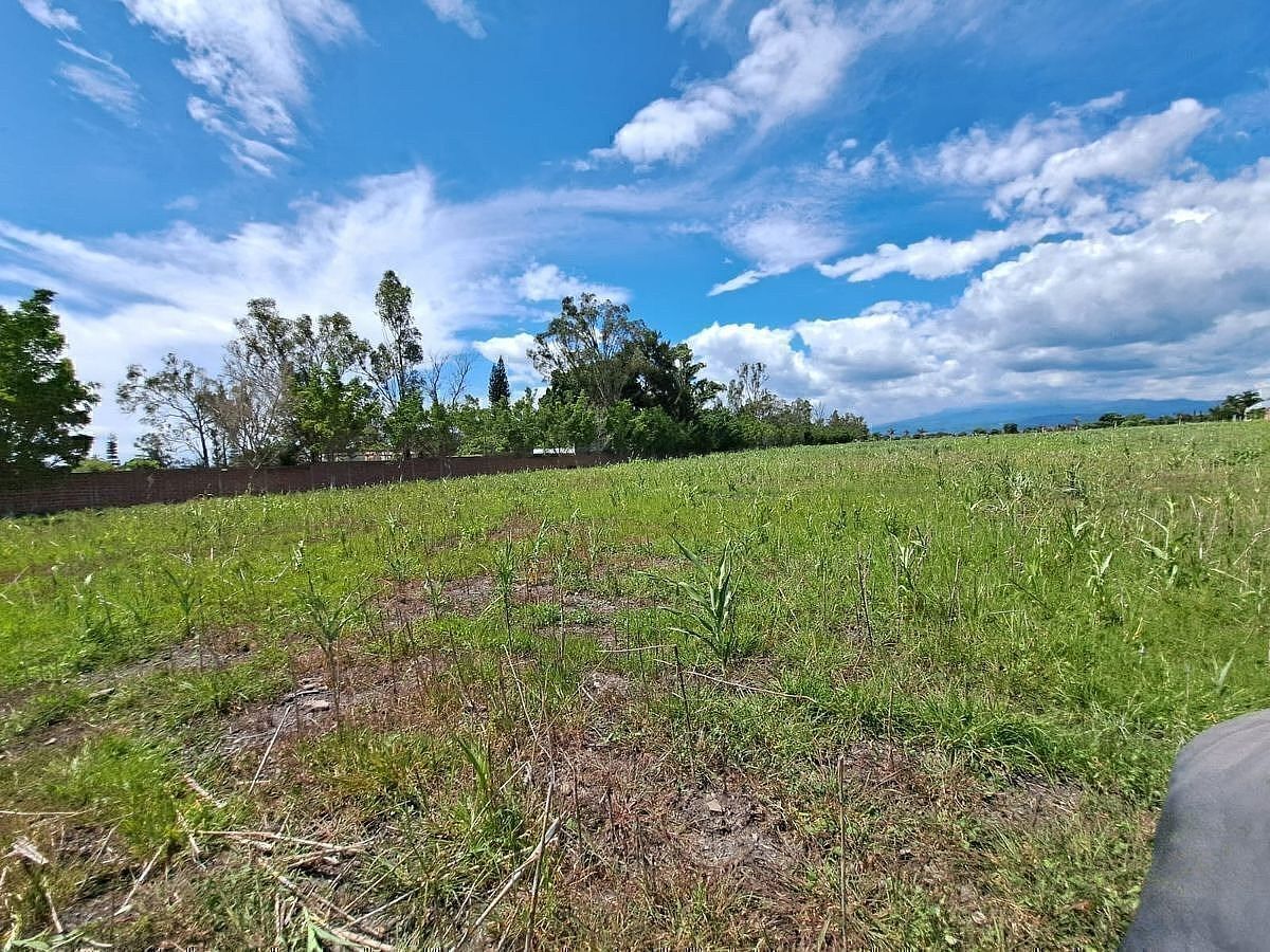 Lote em El Venadito, Ayala, foto 2 de 11