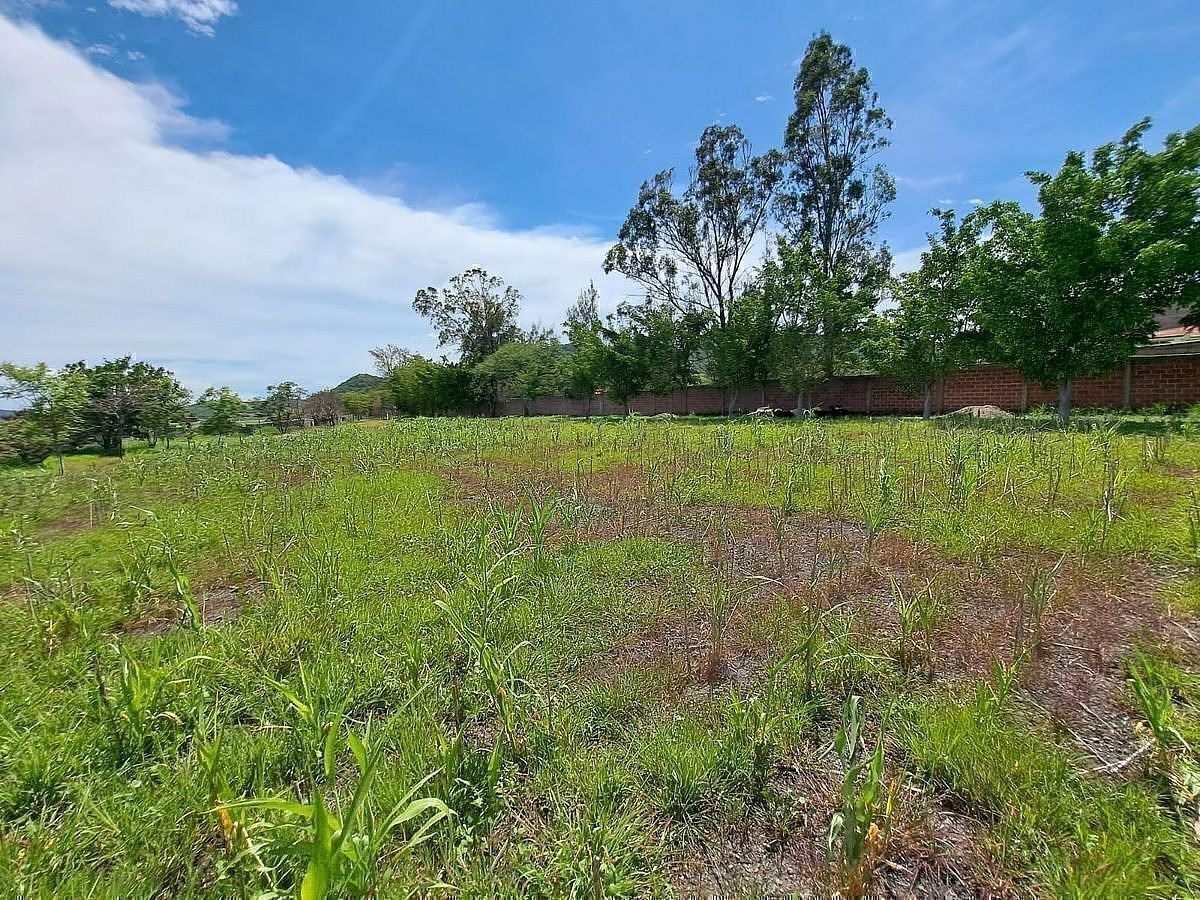 Lote em El Venadito, Ayala, foto 3 de 11