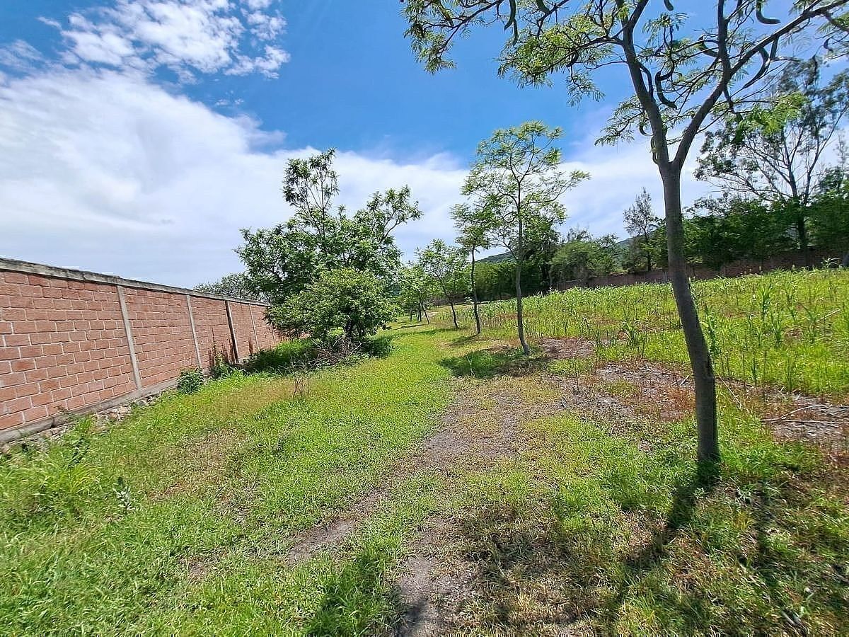 Lote em El Venadito, Ayala, foto 4 de 11