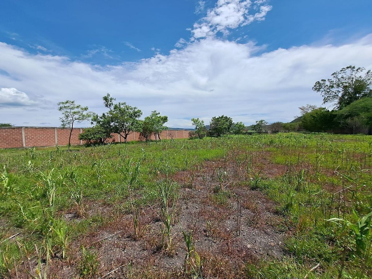 Lote em El Venadito, Ayala, foto 6 de 11