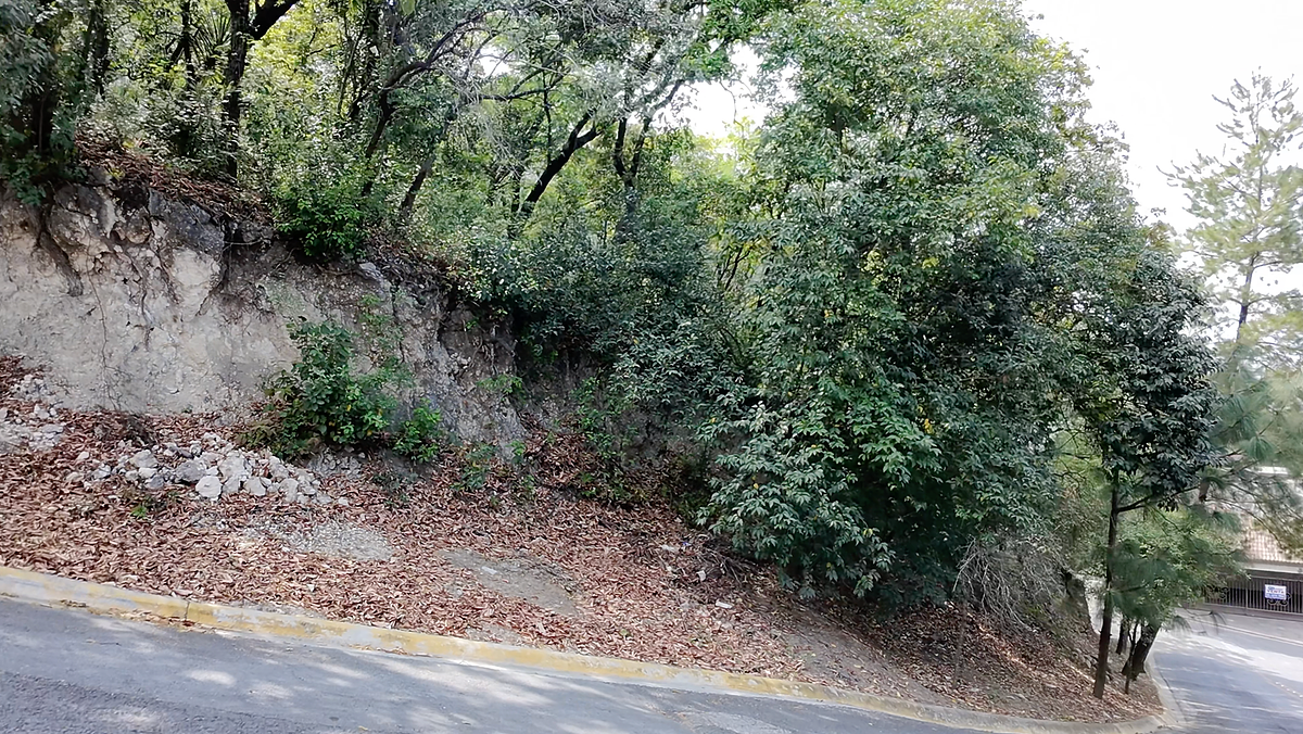 Terreno en Colinas de San Angel, San Pedro Garza García, foto 10 de 10