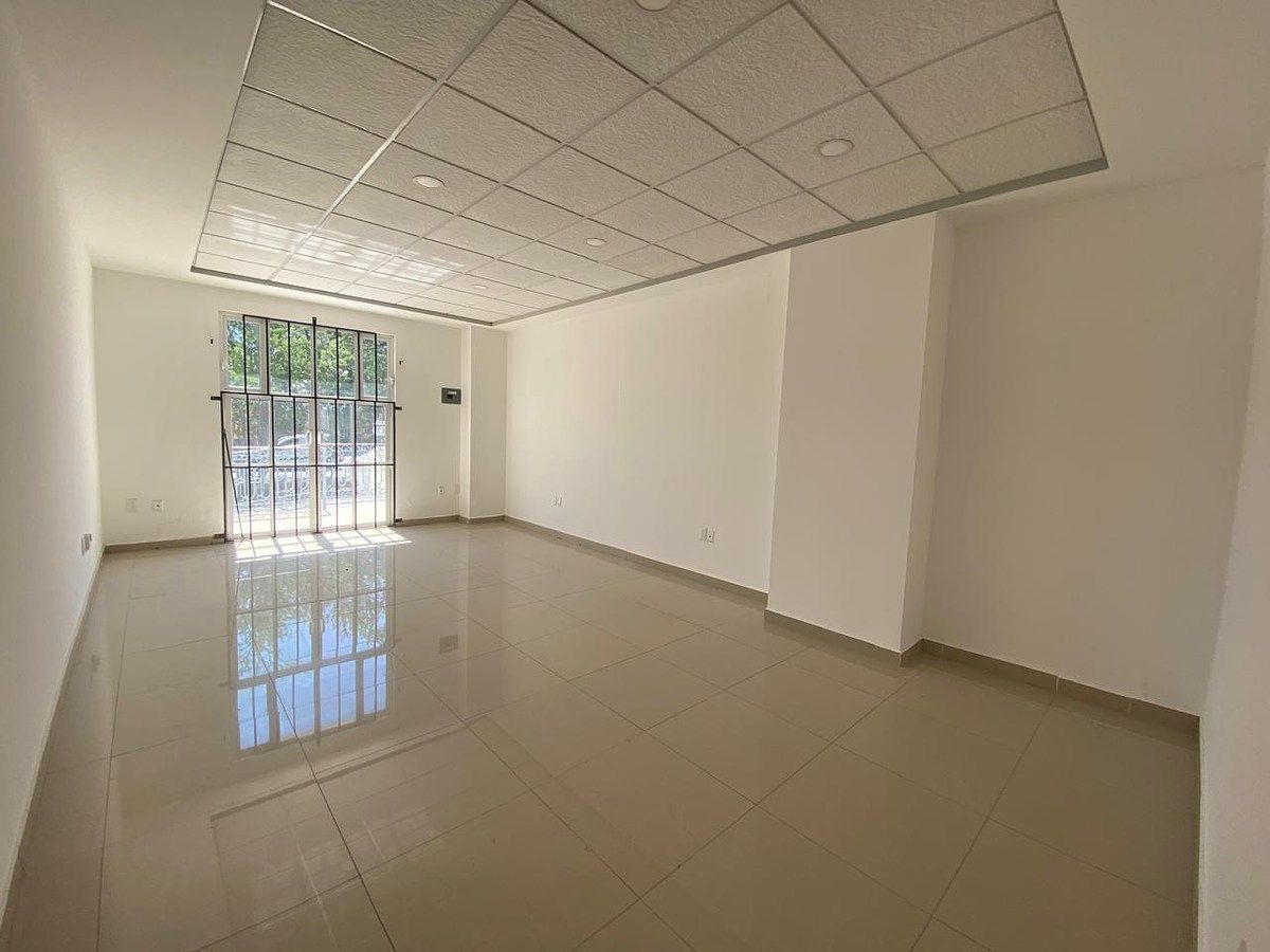 Sala Comercial em La Capilla, Querétaro, foto 5 de 13