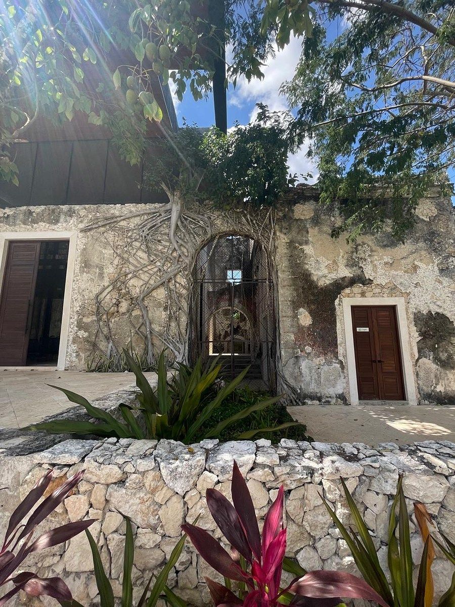 Lot in Kikteil, Mérida, photo 7 of 21