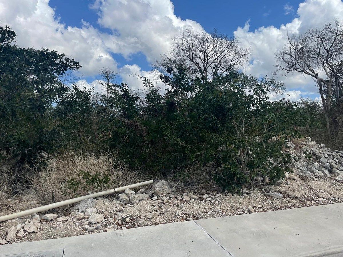 Lot in Kikteil, Mérida, photo 15 of 21