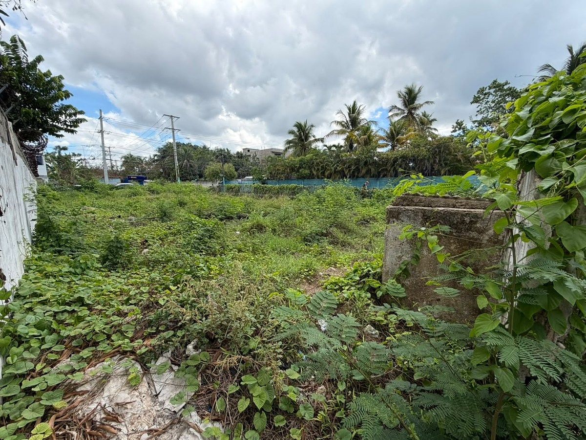 Terreno en Boca Chica, foto 9 de 13