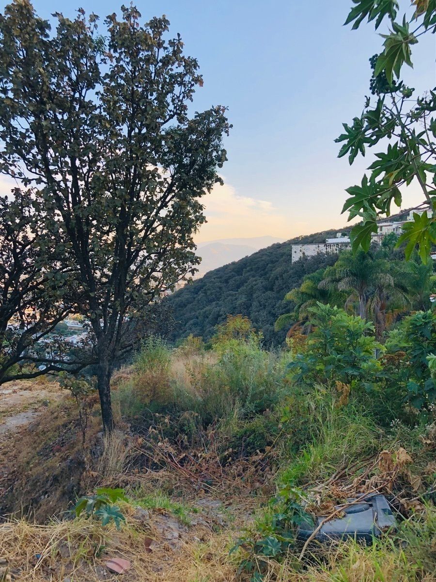 Terreno en El Palomar, Tlajomulco de Zúñiga, foto 6 de 13
