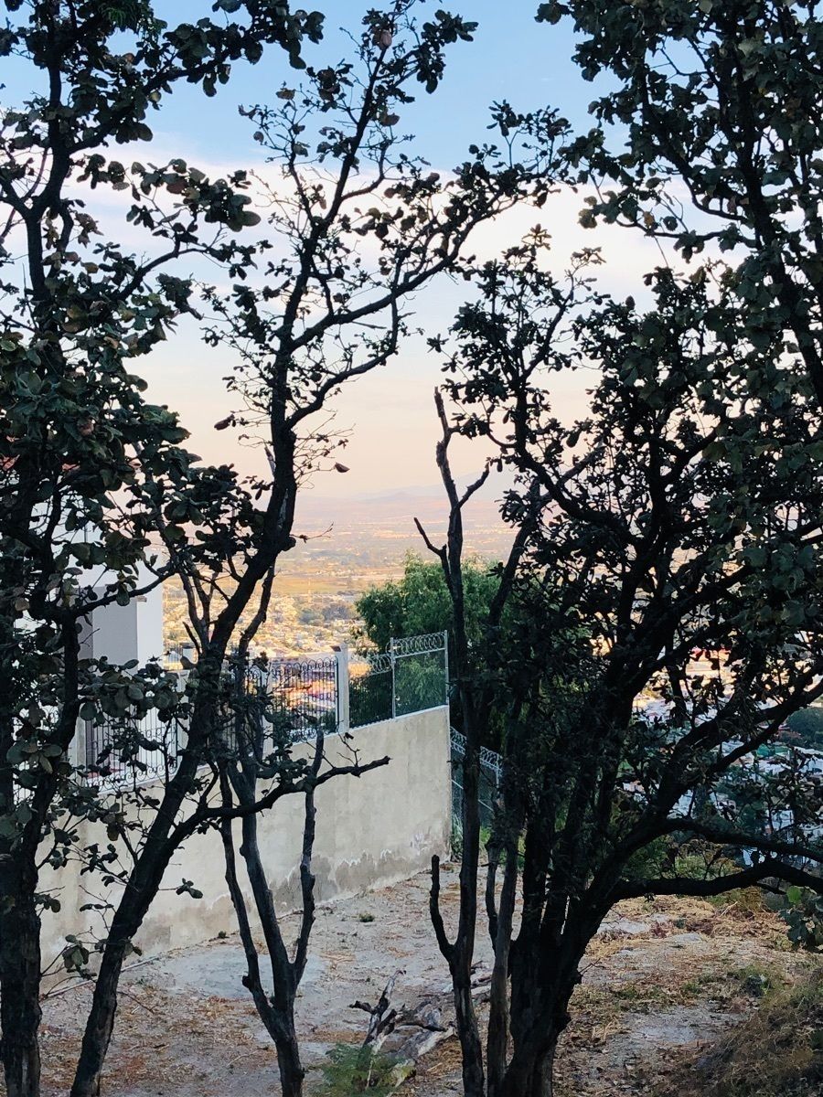 Terreno en El Palomar, Tlajomulco de Zúñiga, foto 8 de 13