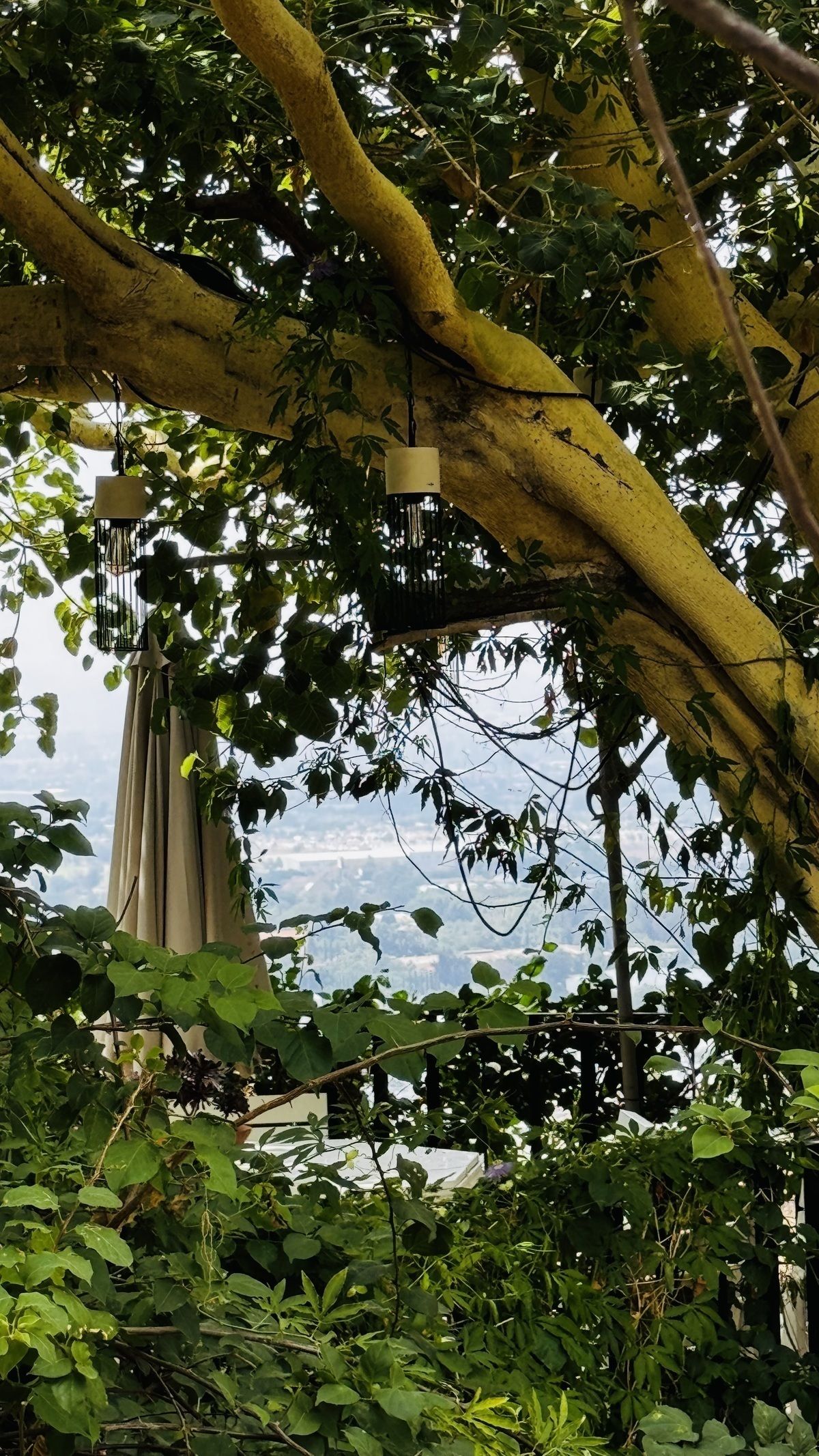 Terreno en El Palomar, Tlajomulco de Zúñiga, foto 10 de 13