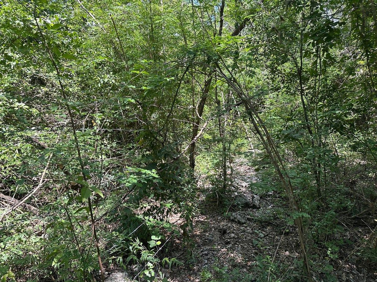Lote em Komchen, Mérida, foto 3 de 17