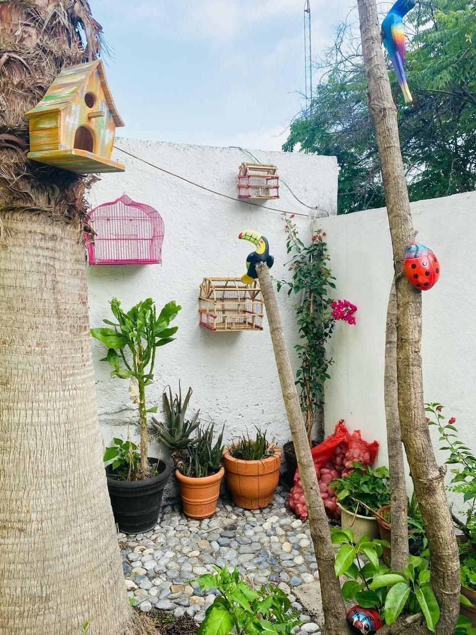 Casa em Contry, Monterrey, foto 16 de 23