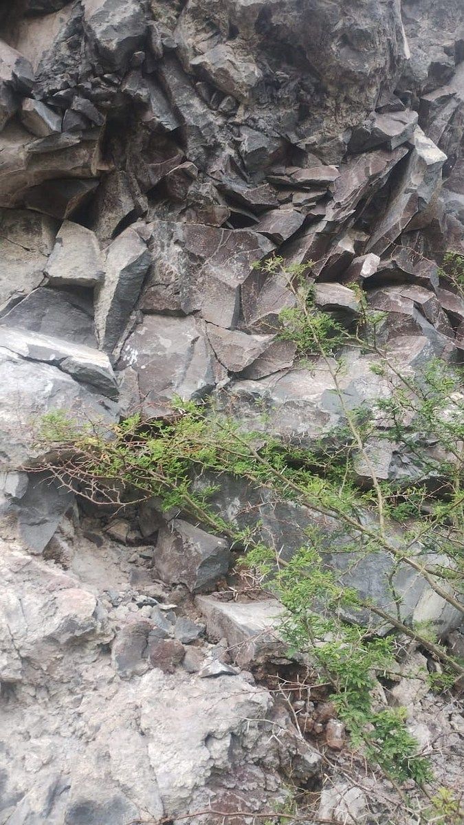 Terreno en Venta con yacimiento de Piedra Basáltica - foto 3