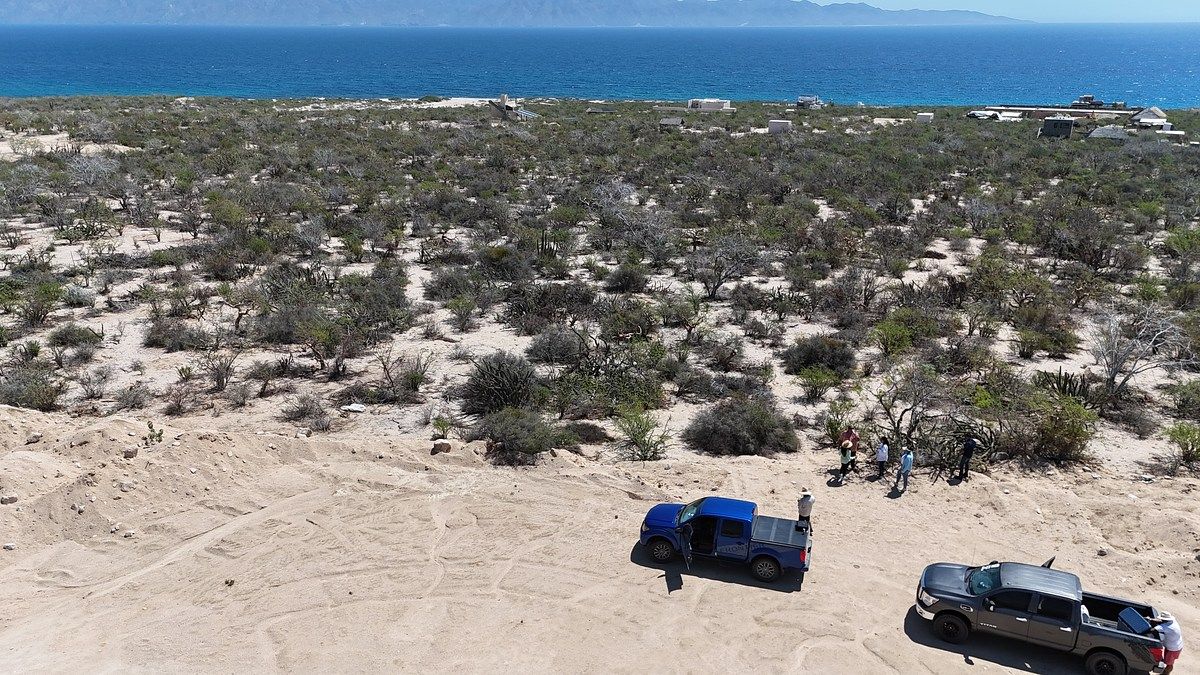 Lot in El Sargento, La Paz, photo 5 of 6
