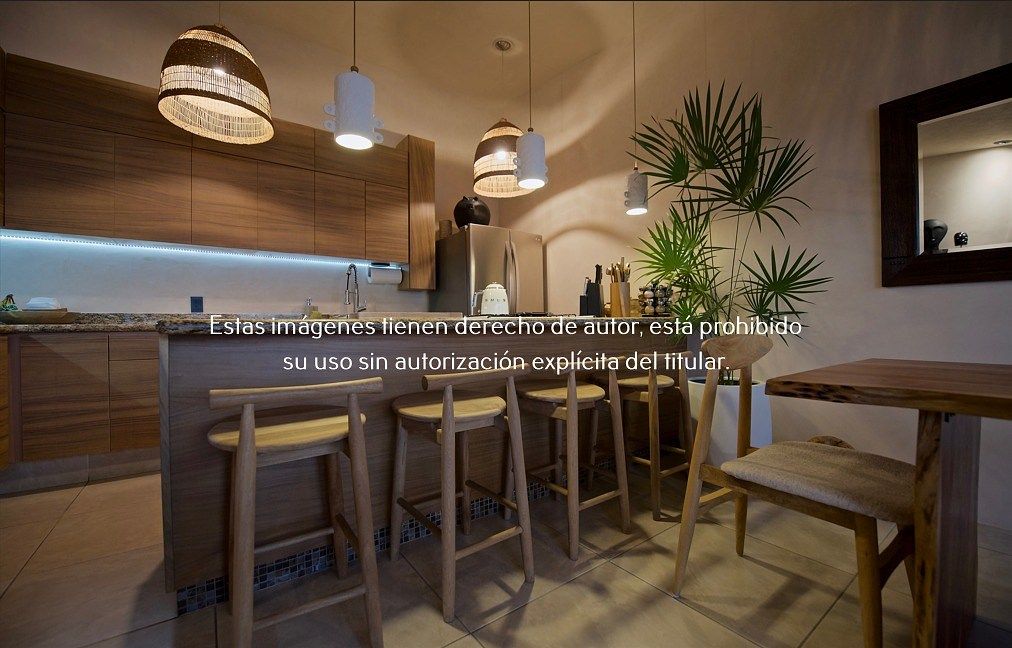 Departamento en Venta en Zona Hotelera de Puerto Vallarta, foto 3 de 14