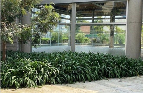 Apartamento em Bosque Real, Huixquilucan, foto 8 de 14