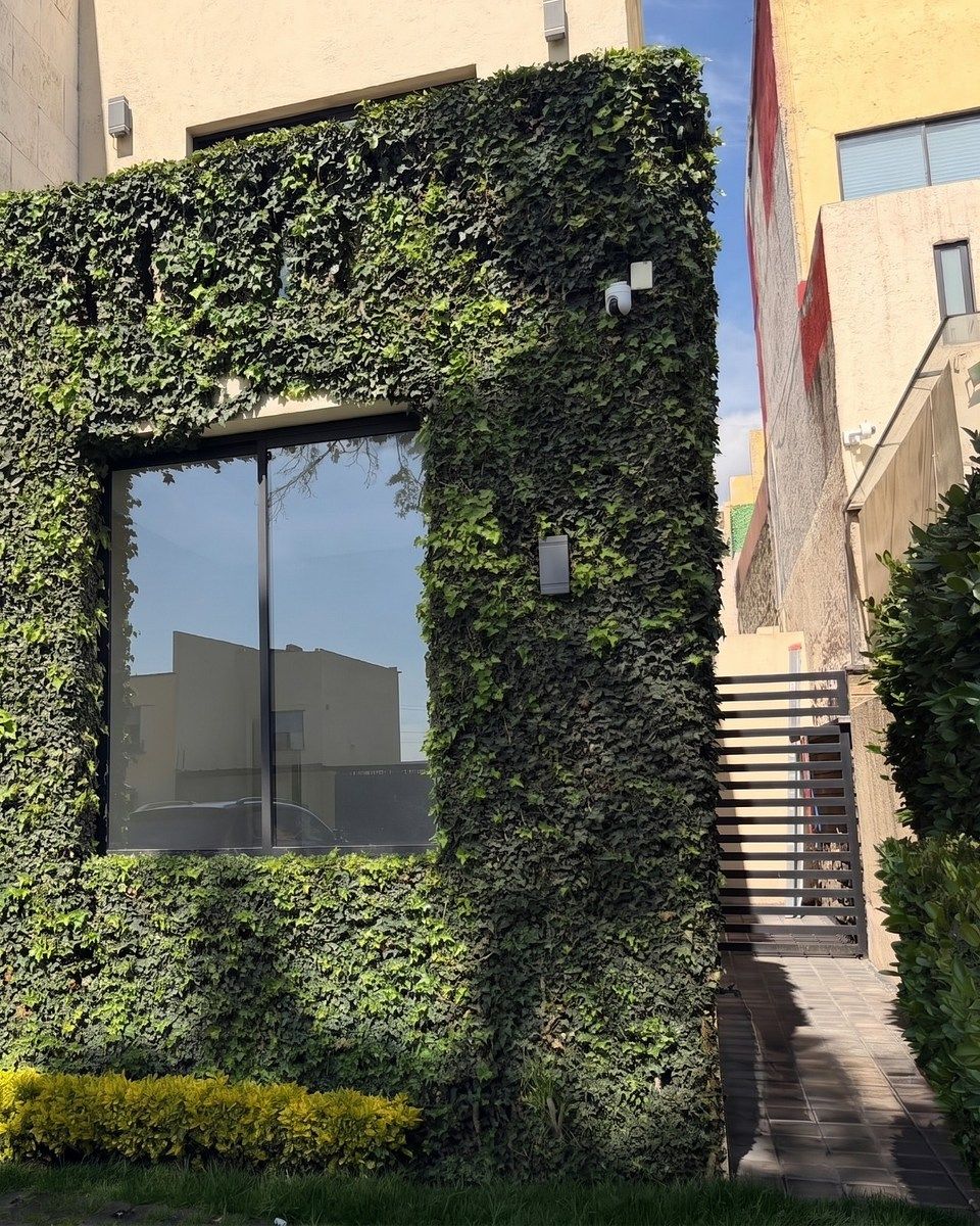 Casa em San Nicolás Totolapan, La Magdalena Contreras, foto 6 de 20