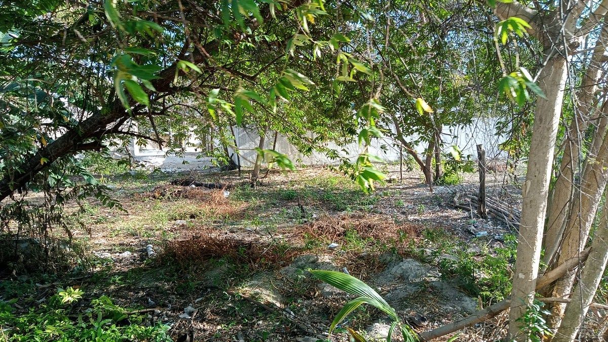 Terreno en Mahahual, Othón P. Blanco, foto 4 de 8