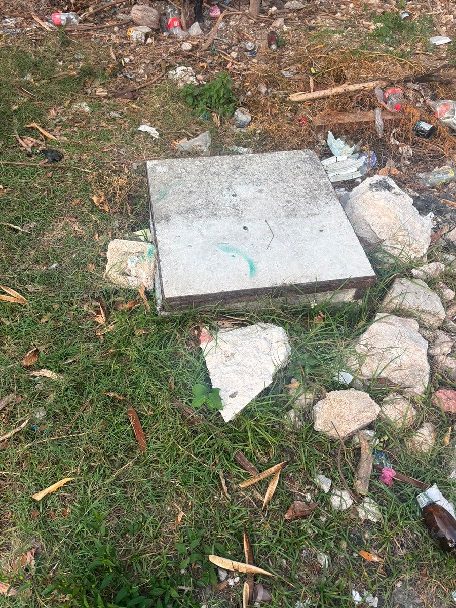 Terreno en Mahahual, Othón P. Blanco, foto 8 de 8