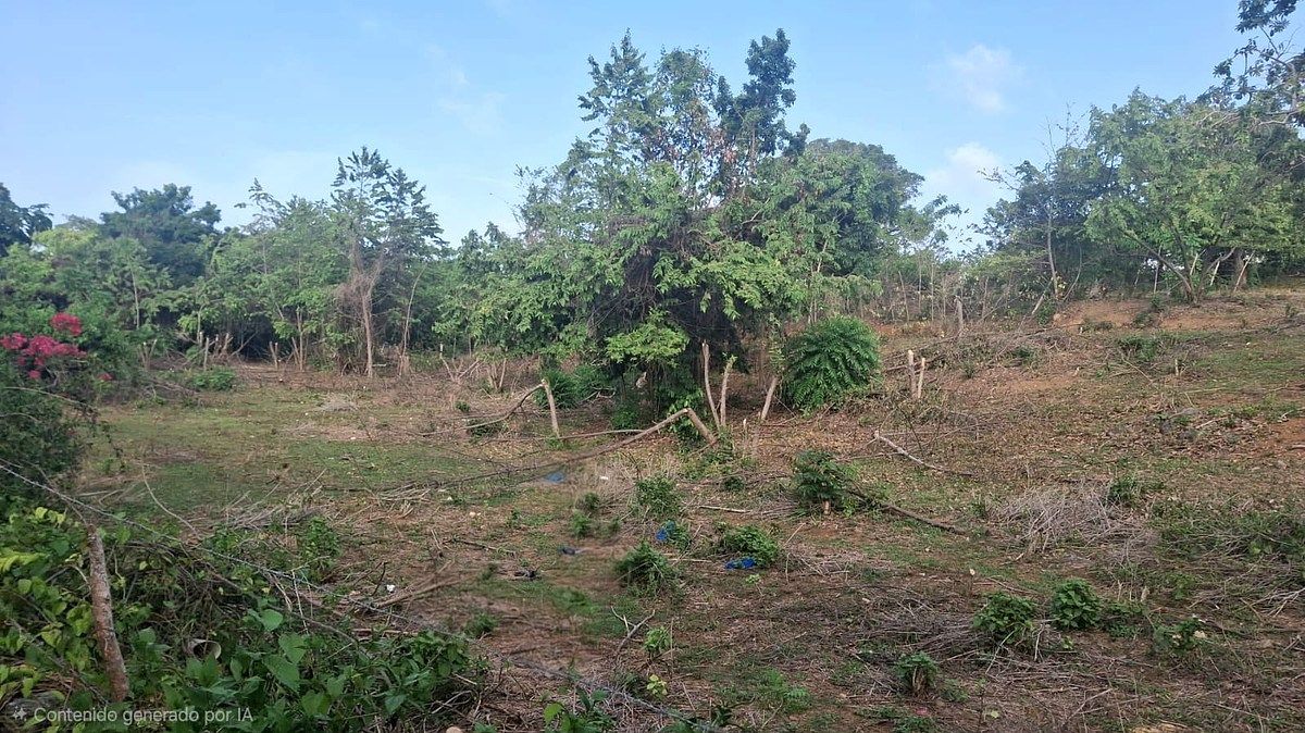 Terreno en Las Galeras, foto 4 de 8