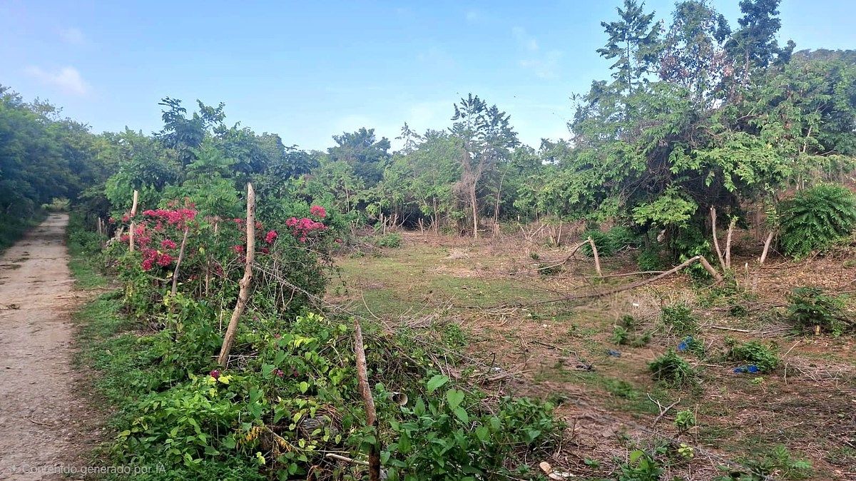 Terreno en Las Galeras, foto 5 de 8