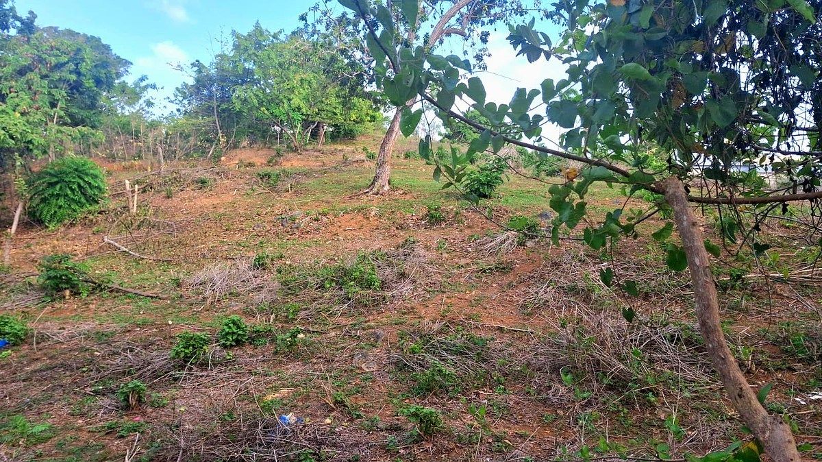 Terreno en Las Galeras, foto 6 de 8