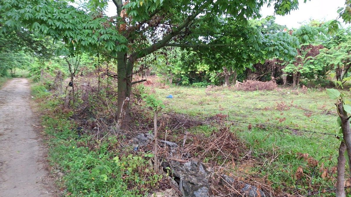 Terreno en Las Galeras, foto 8 de 8