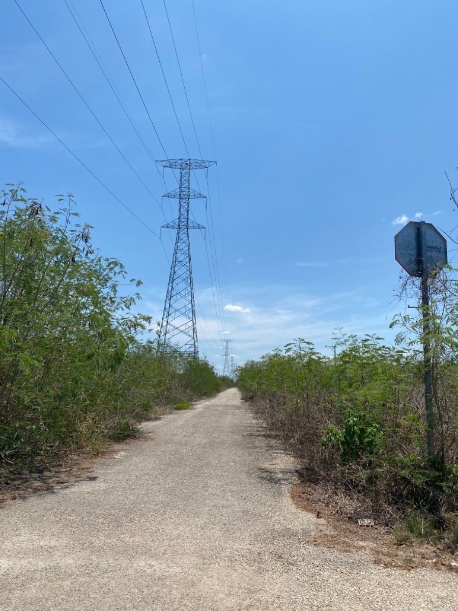 Terreno en Temozón Norte, Mérida, foto 4 de 15