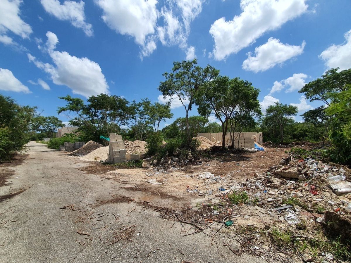 Terreno en Temozón Norte, Mérida, foto 7 de 15