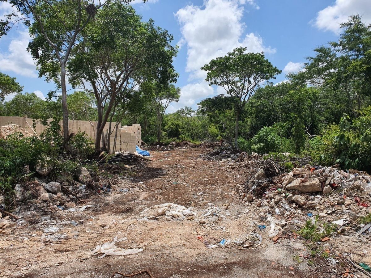 Terreno en Temozón Norte, Mérida, foto 8 de 15