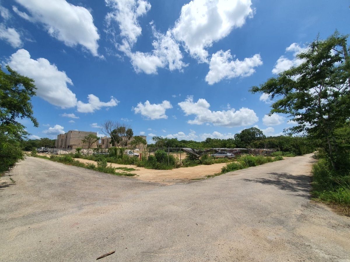 Terreno en Temozón Norte, Mérida, foto 10 de 15