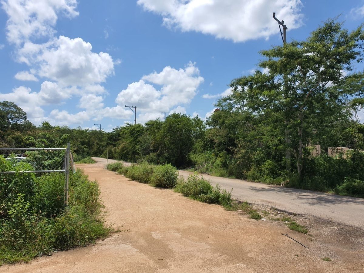 Terreno en Temozón Norte, Mérida, foto 12 de 15