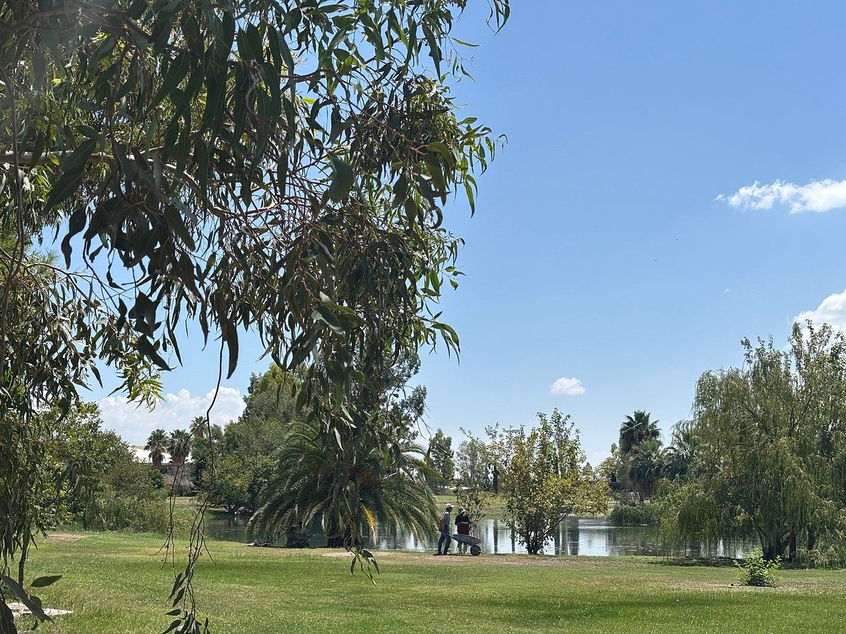 Lote em Residencial Campestre del Desierto, Delicias, foto 7 de 18
