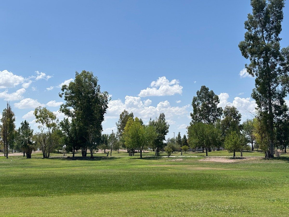 Lote em Residencial Campestre del Desierto, Delicias, foto 9 de 18