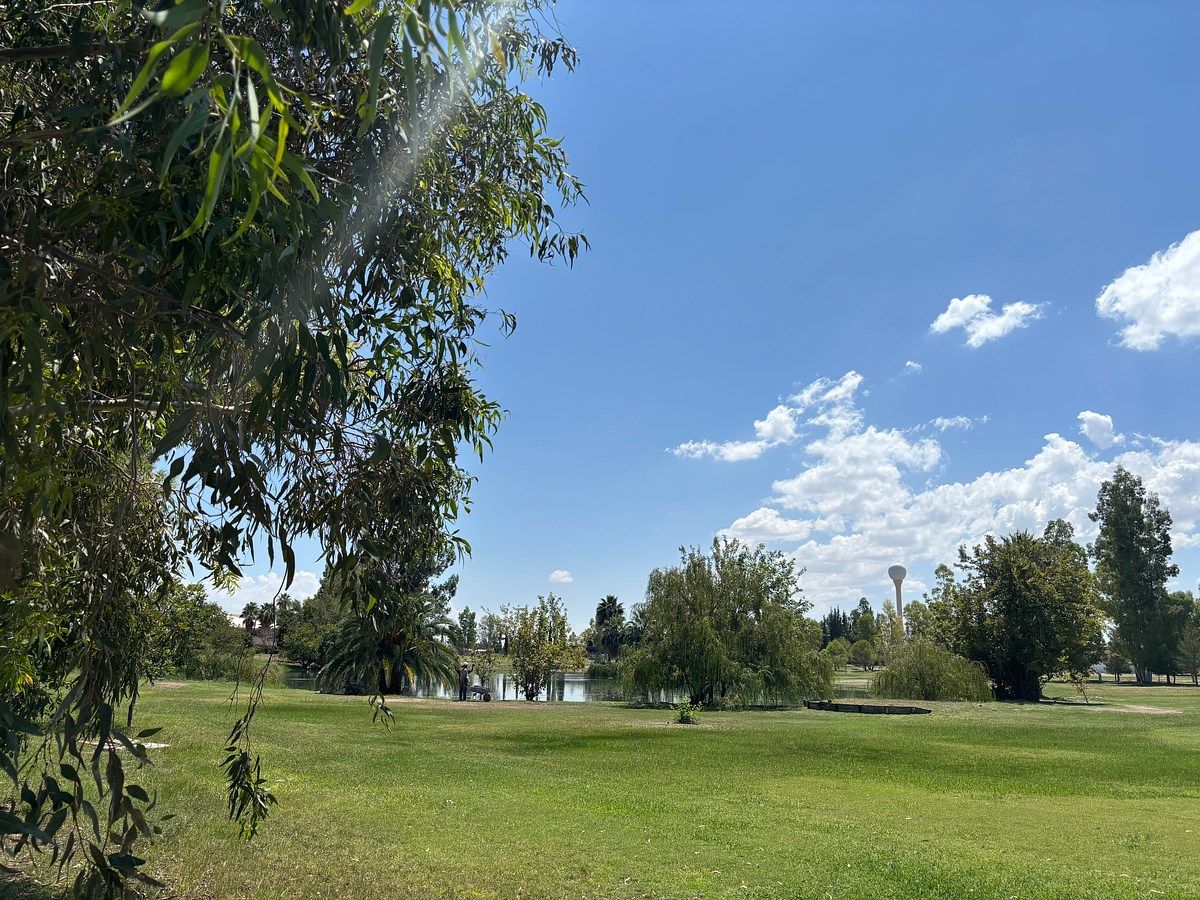 Lote em Residencial Campestre del Desierto, Delicias, foto 14 de 18