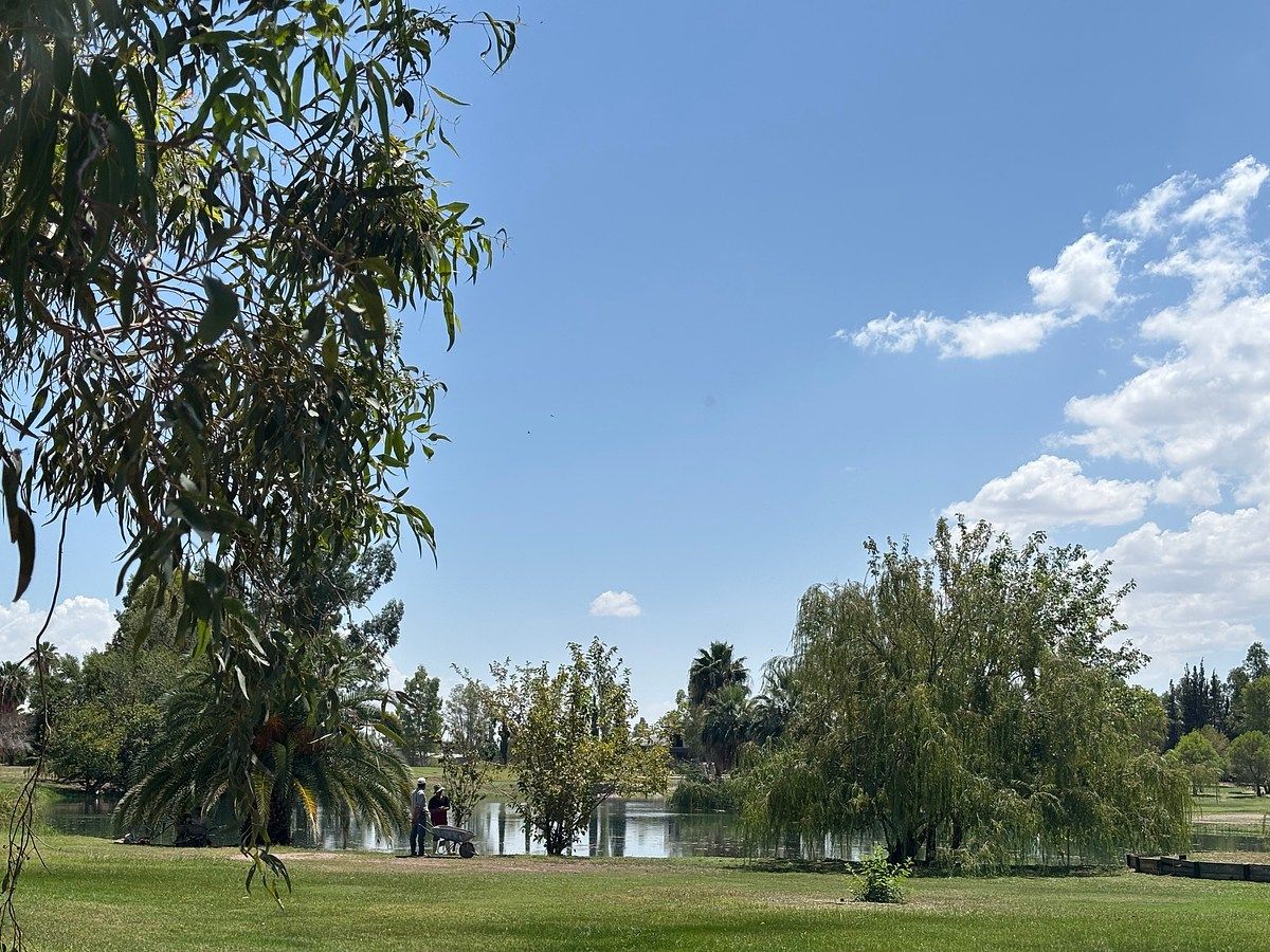 Lote em Residencial Campestre del Desierto, Delicias, foto 13 de 18