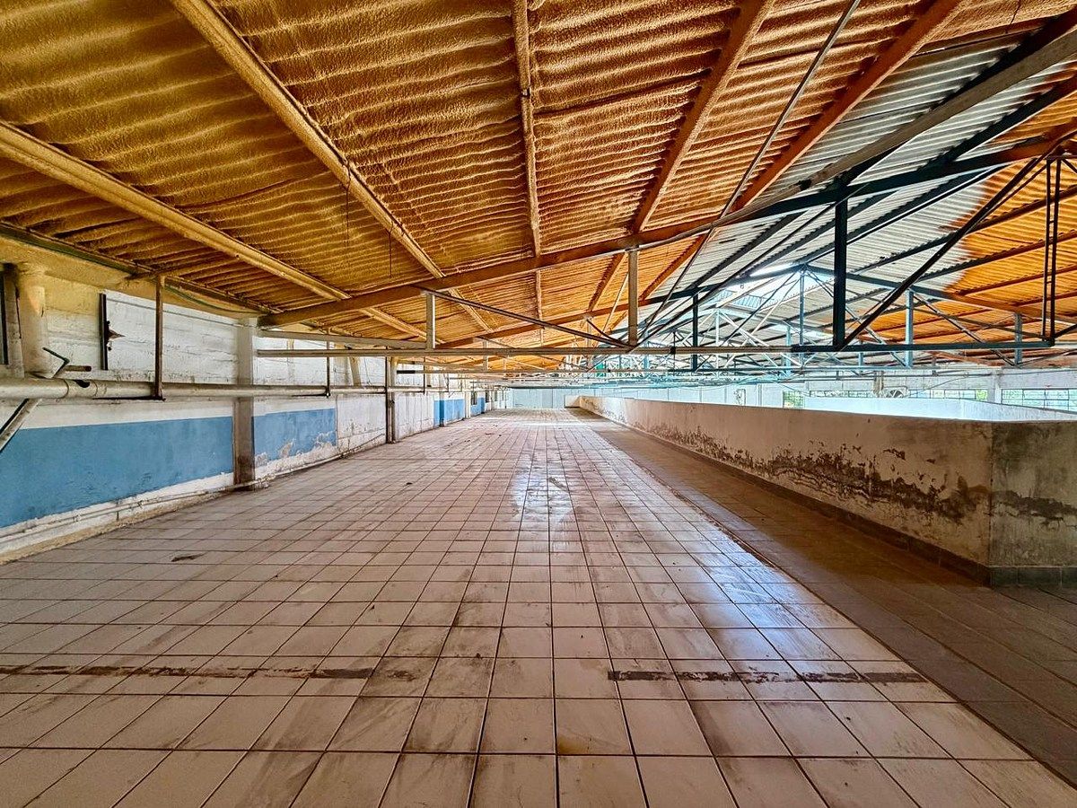 Galpão comercial em Belisario Domínguez, Guadalajara, foto 11 de 13