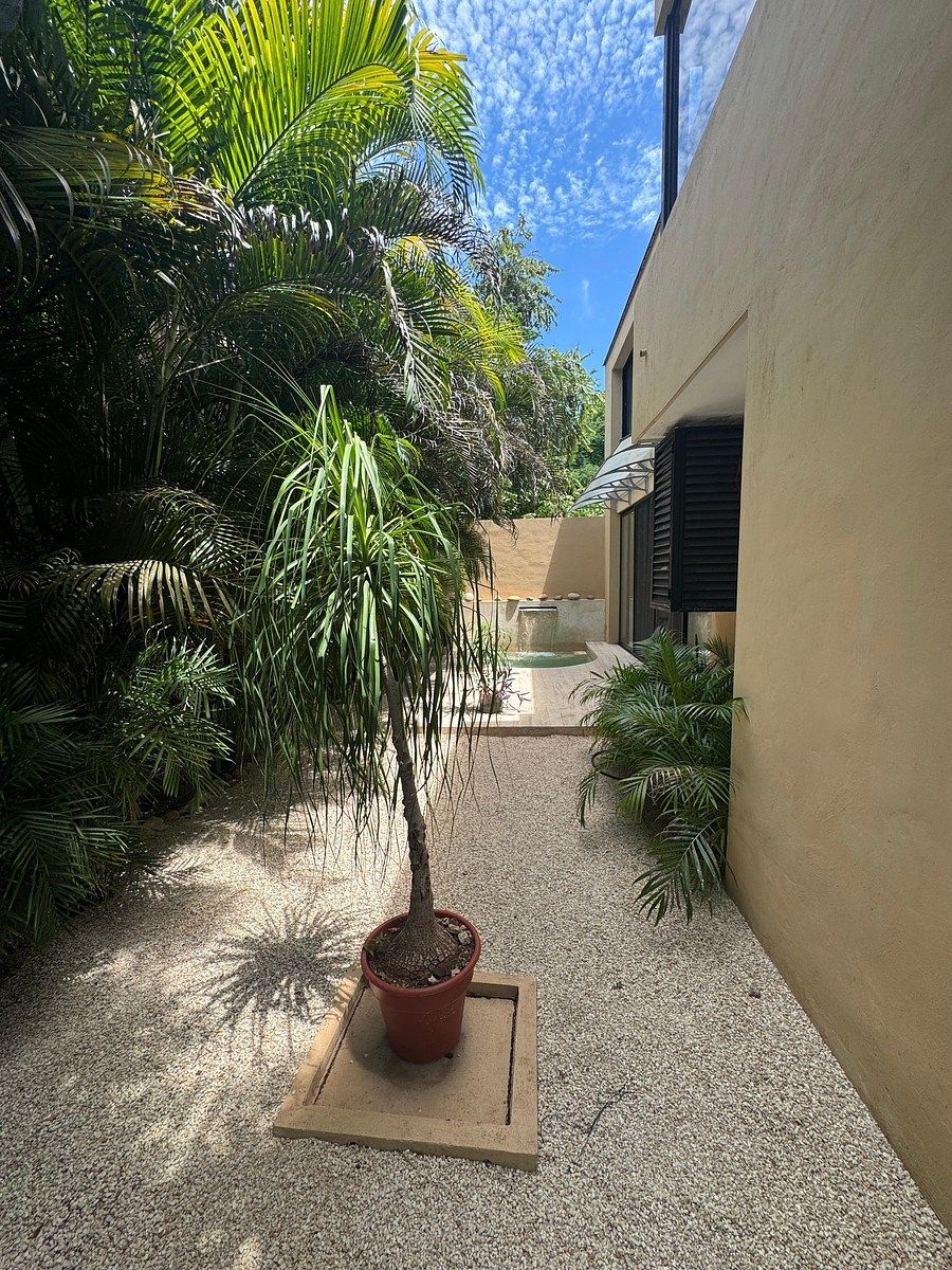 House in Chuburna de Hidalgo, Mérida, photo 9 of 14