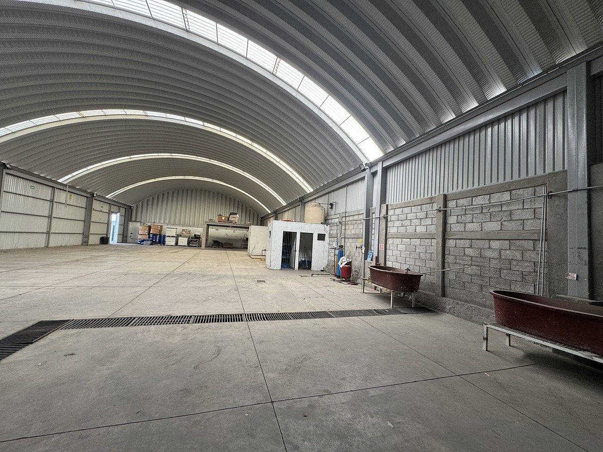 Nave industrial en El Carmen, El Marqués, foto 4 de 21