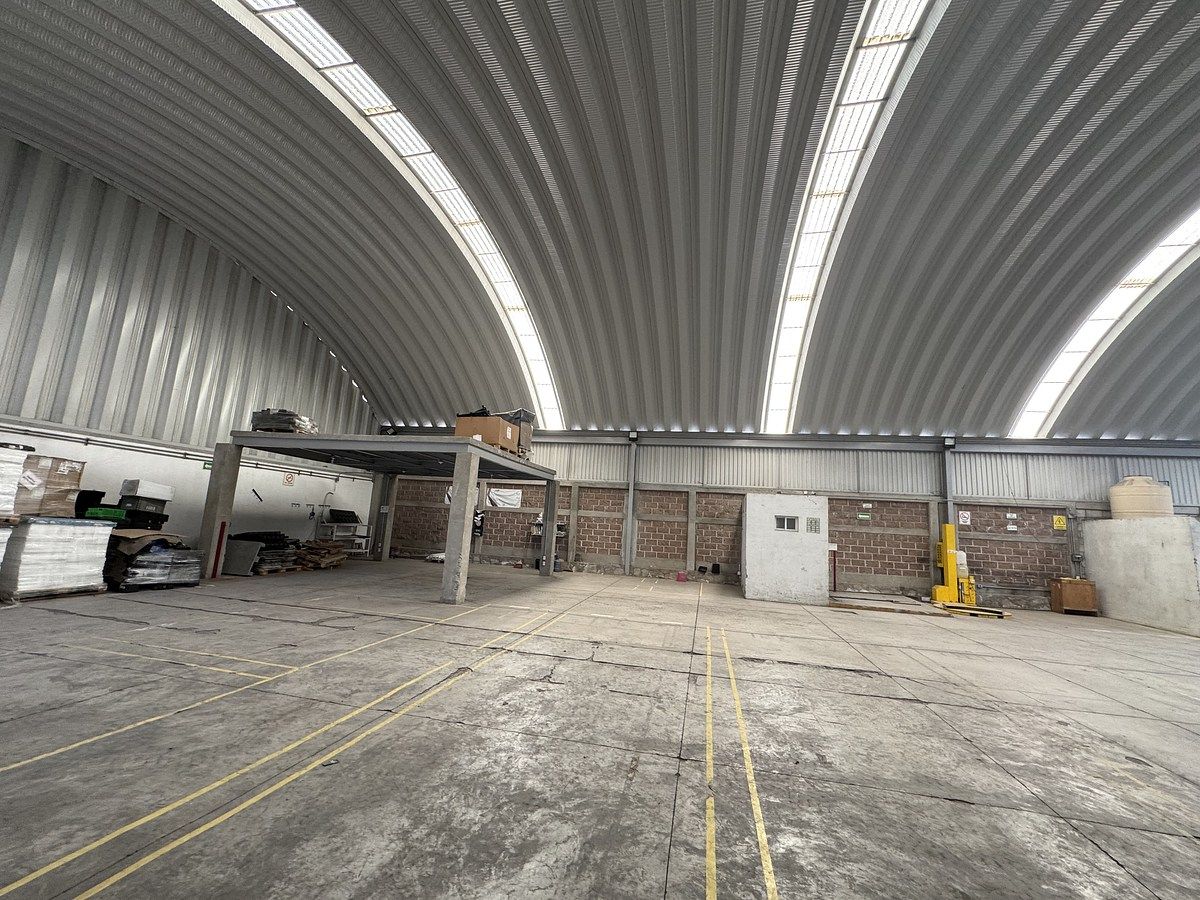 Nave industrial en El Carmen, El Marqués, foto 8 de 21