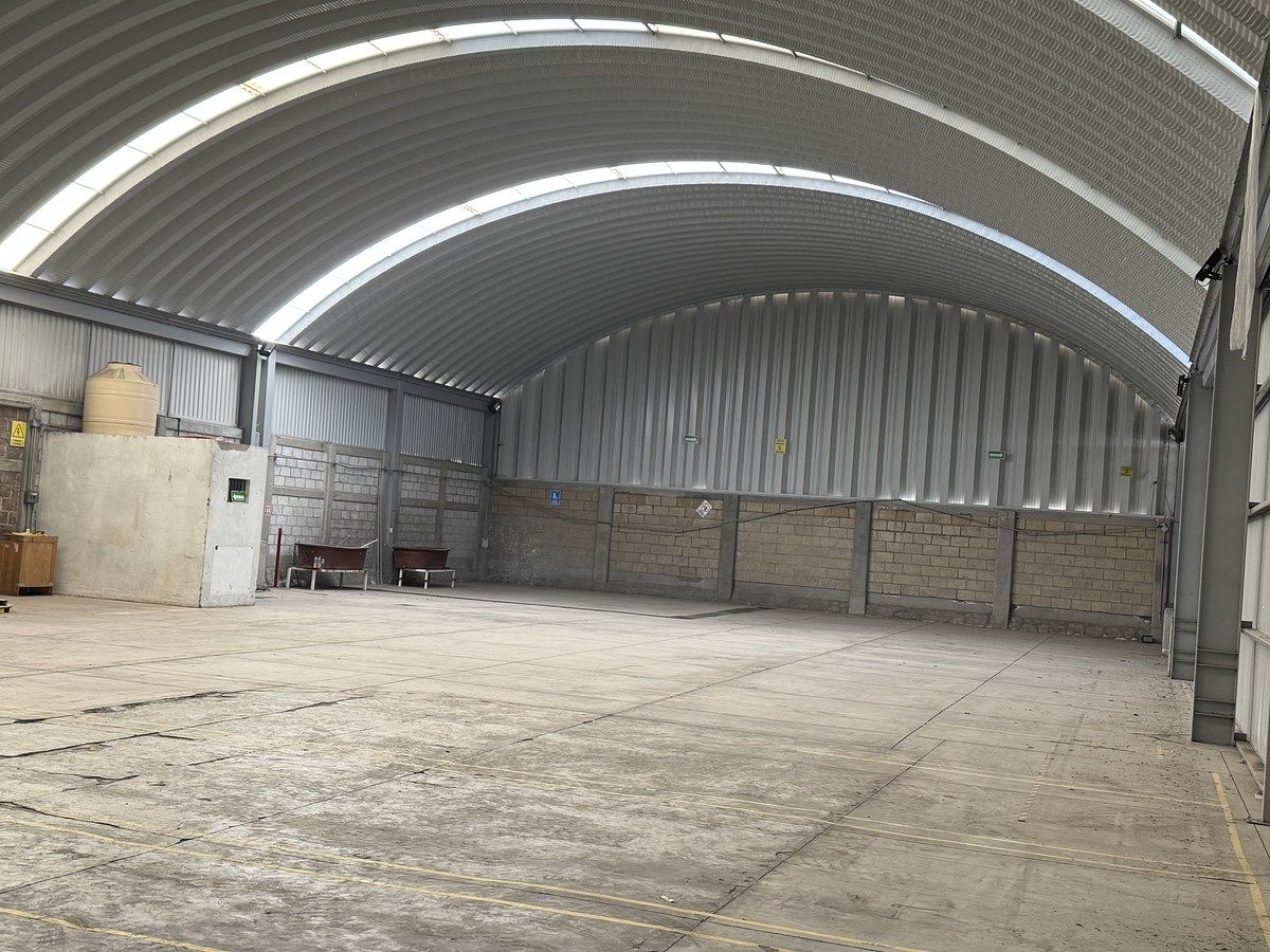 Nave industrial en El Carmen, El Marqués, foto 11 de 21